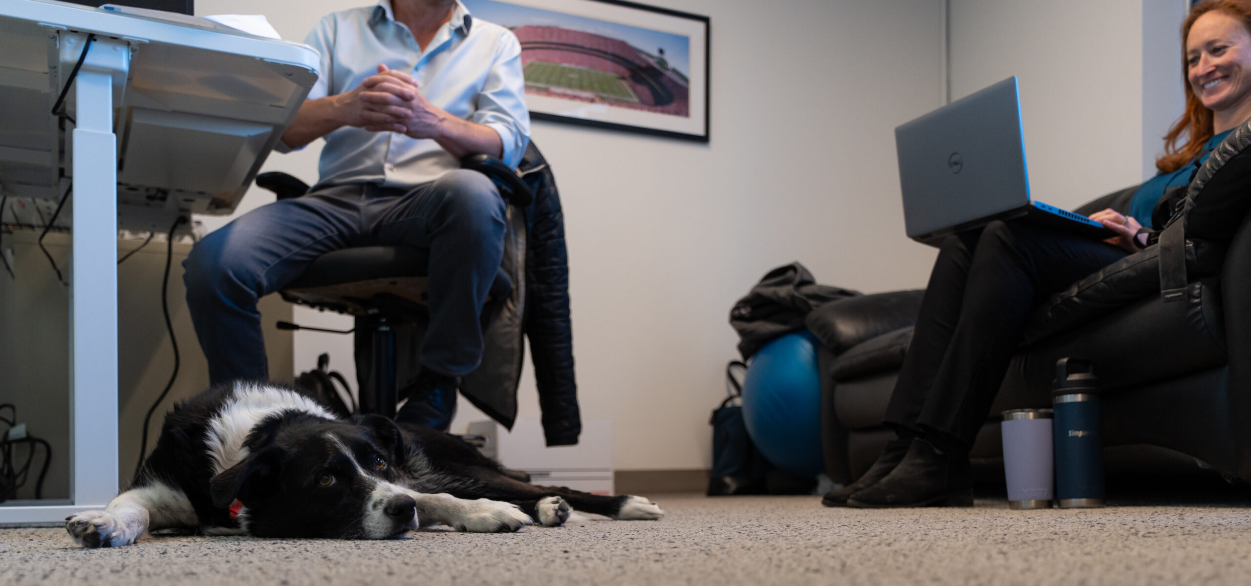 LAN team members collaborating in a relaxed Calgary office with a dog lying nearby, reflecting a balanced and people-first workplace culture.
